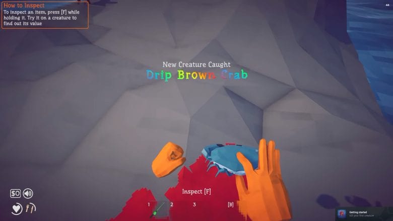 Drip Fish